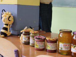 50246815311705867782026022051347790020583223n